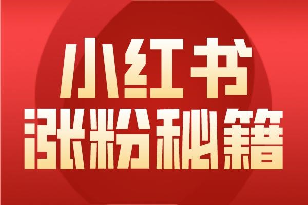 小红书怎么看自己的账号和密码?